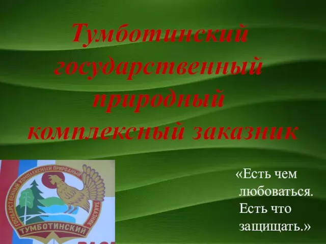 Тумботинский государственный природный комплексный заказник «Есть чем любоваться. Есть что защищать.»