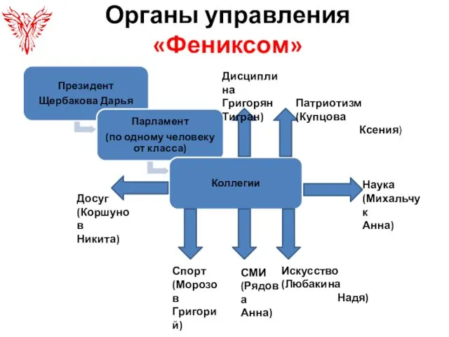 Органы управления «Фениксом» Искусство (Любакина Надя) Спорт (Морозов Григорий) Наука (Михальчук