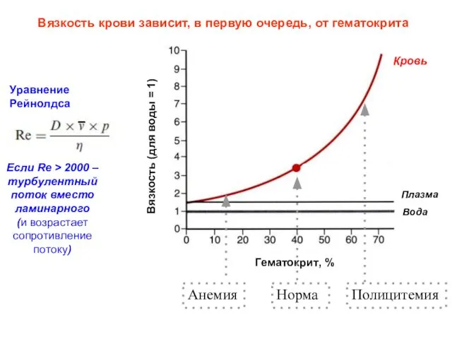 Вязкость крови зависит, в первую очередь, от гематокрита Гематокрит, % Вязкость