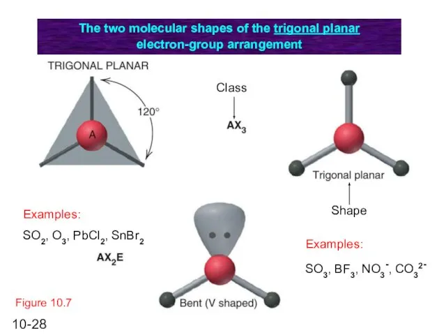 Figure 10.7 The two molecular shapes of the trigonal planar electron-group