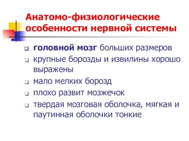 Анатомо-физиологические особенности нервной системы головной мозг больших размеров крупные борозды и