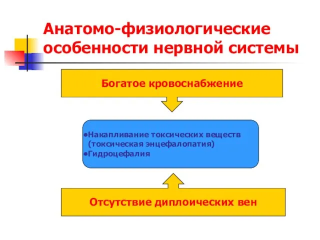 Анатомо-физиологические особенности нервной системы Богатое кровоснабжение Отсутствие диплоических вен Накапливание токсических веществ (токсическая энцефалопатия) Гидроцефалия