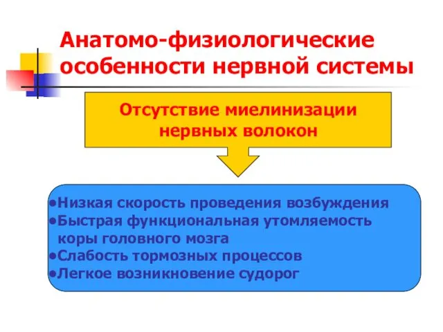 Анатомо-физиологические особенности нервной системы Отсутствие миелинизации нервных волокон Низкая скорость проведения