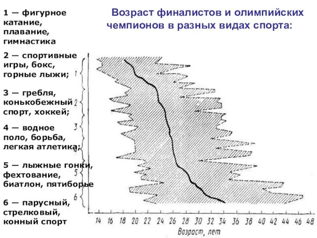 Возраст финалистов и олимпийских чемпионов в разных видах спорта: 1 —