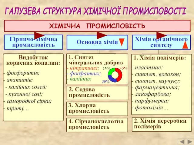 ГАЛУЗЕВА СТРУКТУРА ХІМІЧНОЇ ПРОМИСЛОВОСТІ ХІМІЧНА ПРОМИСЛОВІСТЬ Основна хімія Хімія органічного синтезу