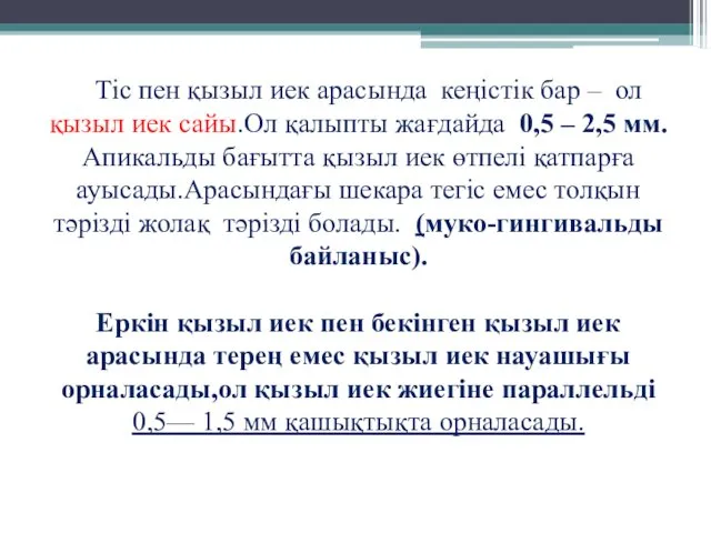 Тіс пен қызыл иек арасында кеңістік бар – ол қызыл иек