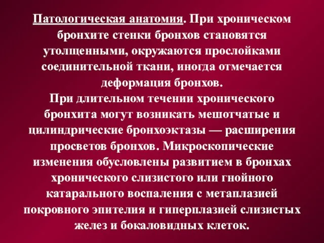 Патологическая анатомия. При хроническом бронхите стенки бронхов становятся утолщенными, окружаются прослойками