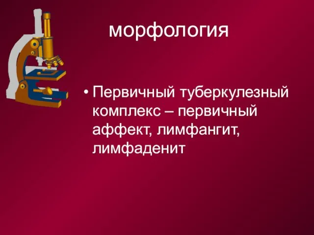 морфология Первичный туберкулезный комплекс – первичный аффект, лимфангит, лимфаденит