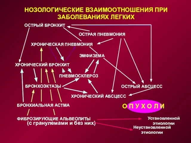 ОСТРЫЙ БРОНХИТ ХРОНИЧЕСКАЯ ПНЕВМОНИЯ ЭМФИЗЕМА ХРОНИЧЕСКИЙ БРОНХИТ БРОНХОЭКТАЗЫ БРОНХИАЛЬНАЯ АСТМА ФИБРОЗИРУЮЩИЕ