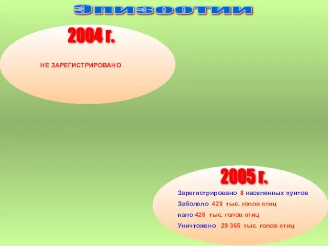 НЕ ЗАРЕГИСТРИРОВАНО 2004 г. Эпизоотии Зарегистрировано 8 населенных пунтов Заболело 428