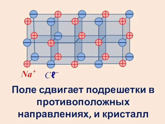 Поле сдвигает подрешетки в противоположных направлениях, и кристалл поляризуется.