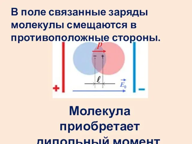 В поле связанные заряды молекулы смещаются в противоположные стороны. Молекула приобретает дипольный момент.