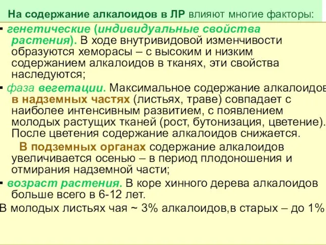 На содержание алкалоидов в ЛР влияют многие факторы: ▪ генетические (индивидуальные