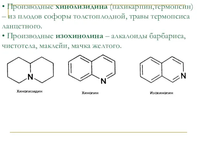 • Производные хинолизидина (пахикарпин,термопсин) – из плодов софоры толстоплодной, травы термопсиса