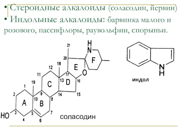 • Стероидные алкалоиды (соласодин, йервин) • Индольные алкалоиды: барвинка малого и