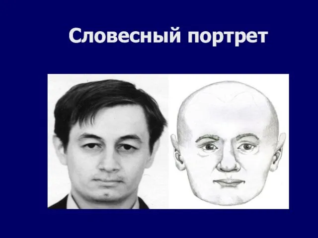 Словесный портрет