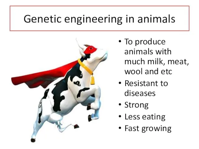 Genetic engineering in animals To produce animals with much milk, meat,
