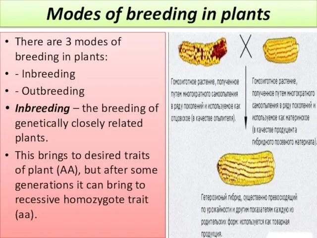 There are 3 modes of breeding in plants: - Inbreeding -