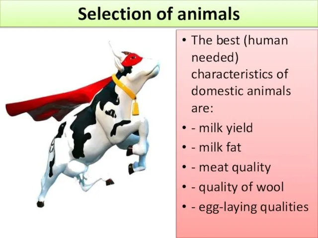 The best (human needed) characteristics of domestic animals are: - milk