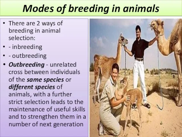 Modes of breeding in animals There are 2 ways of breeding