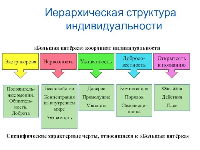 Иерархическая структура индивидуальности Экстраверсия Нервозность Уживчивость Добросо- вестность Открытость к познанию