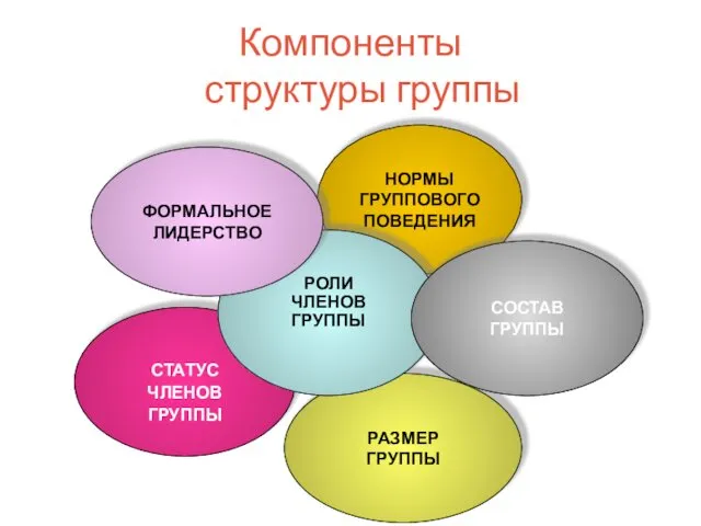 Компоненты структуры группы СТАТУС ЧЛЕНОВ ГРУППЫ НОРМЫ ГРУППОВОГО ПОВЕДЕНИЯ РАЗМЕР ГРУППЫ