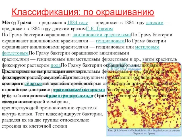 После промывания растворителем при окрашивании по Граму добавляется контрастный красный краситель,