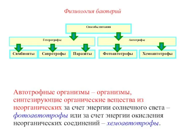 Способы питания Гетеротрофы Автотрофы Симбионты Сапротрофы Паразиты Фотоавтотрофы Хемоавтотрофы Автотрофные организмы