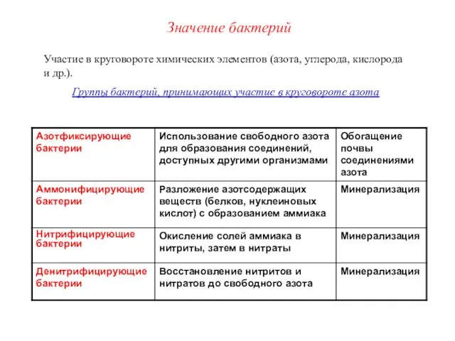 Участие в круговороте химических элементов (азота, углерода, кислорода и др.). Группы