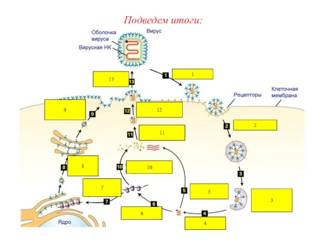 1 2 3 4 5 6 7 8 9 10 11 12 13 Подведем итоги: