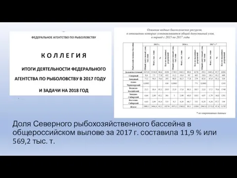 Доля Северного рыбохозяйственного бассейна в общероссийском вылове за 2017 г. составила