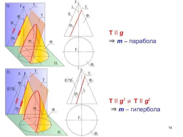 T II g ⇒ m – парабола T II g1 и