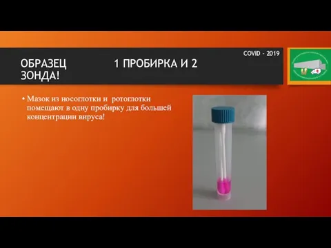 ОБРАЗЕЦ 1 ПРОБИРКА И 2 ЗОНДА! Мазок из носоглотки и ротоглотки