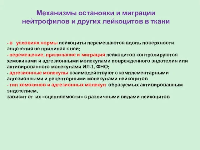 Механизмы остановки и миграции нейтрофилов и других лейкоцитов в ткани -