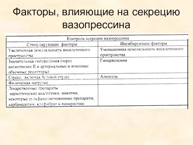 Факторы, влияющие на секрецию вазопрессина