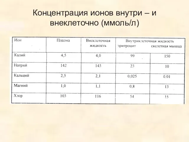 Концентрация ионов внутри – и внеклеточно (ммоль/л)