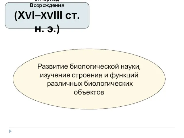 5. Период Возрождения (ХVІ–XVІІІ ст. н. э.) Развитие биологической науки, изучение