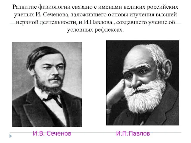 Развитие физиологии связано с именами великих российских ученых И. Сеченова, заложившего