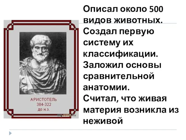 Описал около 500 видов животных. Создал первую систему их классификации. Заложил