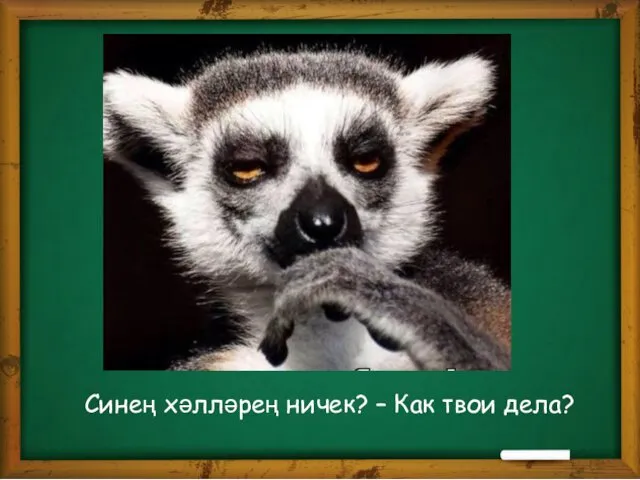 Синең хәлләрең ничек? – Как твои дела?