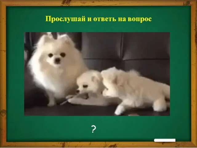 Прослушай и ответь на вопрос ?