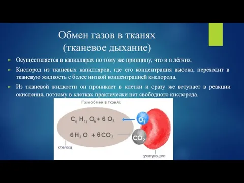 Обмен газов в тканях (тканевое дыхание) Осуществляется в капиллярах по тому