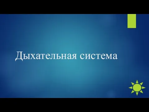 Дыхательная система