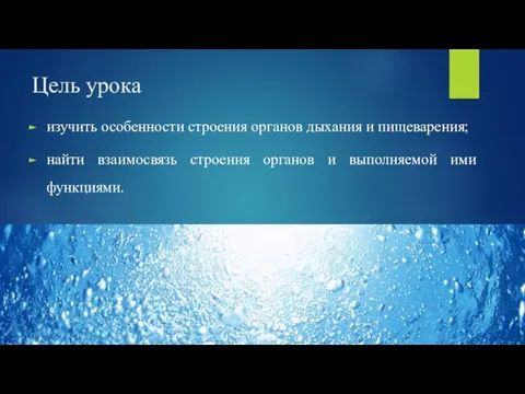 Цель урока изучить особенности строения органов дыхания и пищеварения; найти взаимосвязь