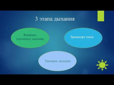 3 этапа дыхания Внешнее (легочное) дыхание Транспорт газов Тканевое дыхание