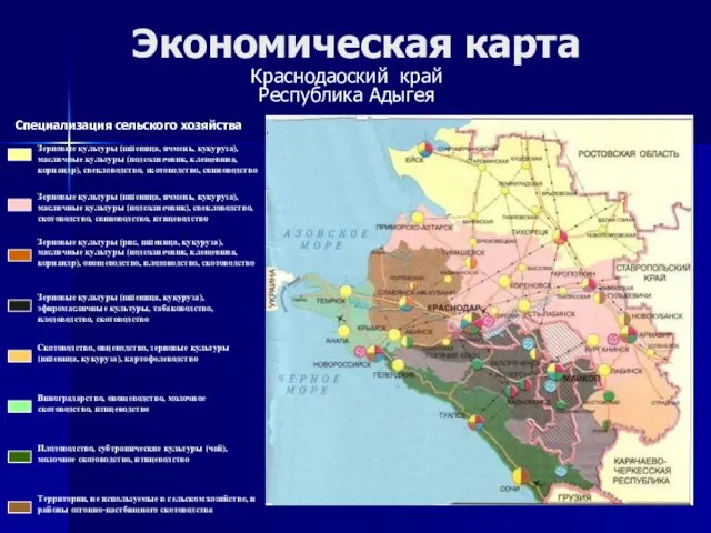 Экономическая карта Краснодаоский край Республика Адыгея Специализация сельского хозяйства
