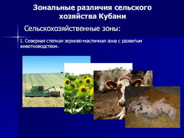 Зональные различия сельского хозяйства Кубани Сельскохозяйственные зоны: 1. Северная степная зерново-масличная зона с развитым животноводством.