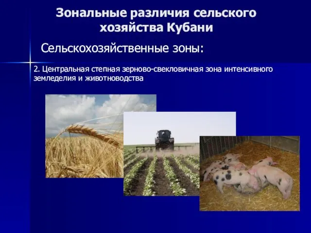 Зональные различия сельского хозяйства Кубани Сельскохозяйственные зоны: 2. Центральная степная зерново-свекловичная зона интенсивного земледелия и животноводства