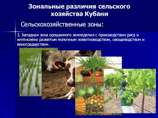 Зональные различия сельского хозяйства Кубани Сельскохозяйственные зоны: 3. Западная зона орошаемого