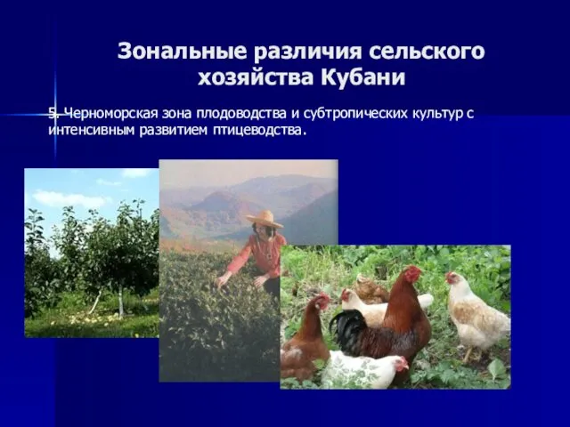 Зональные различия сельского хозяйства Кубани 5. Черноморская зона плодоводства и субтропических культур с интенсивным развитием птицеводства.
